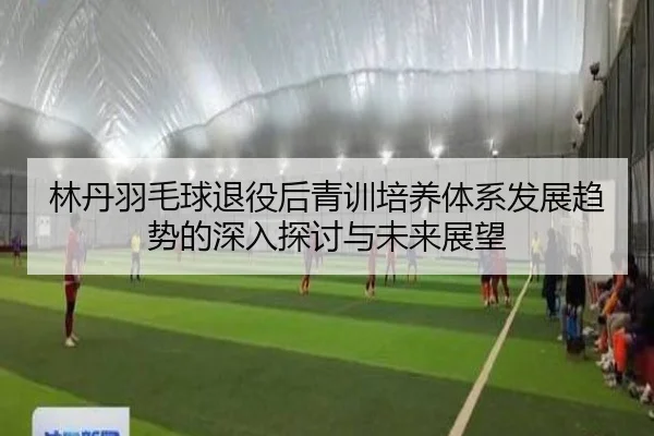 林丹羽毛球退役后青训培养体系发展趋势的深入探讨与未来展望 | DAFA SPORTS